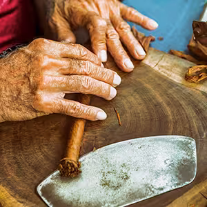 Hand rolling a cigar