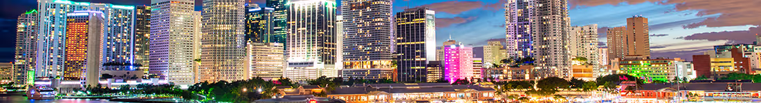 The Miami Skyline